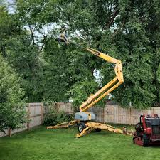 Best Landscape Design and Installation  in Green Tree, PA