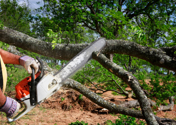 Best Commercial Tree Services  in Green Tree, PA